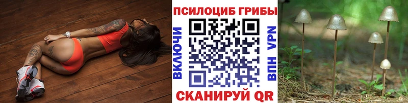 Купить закладки  Чекалин  Псилоцибиновые грибы мухоморы 